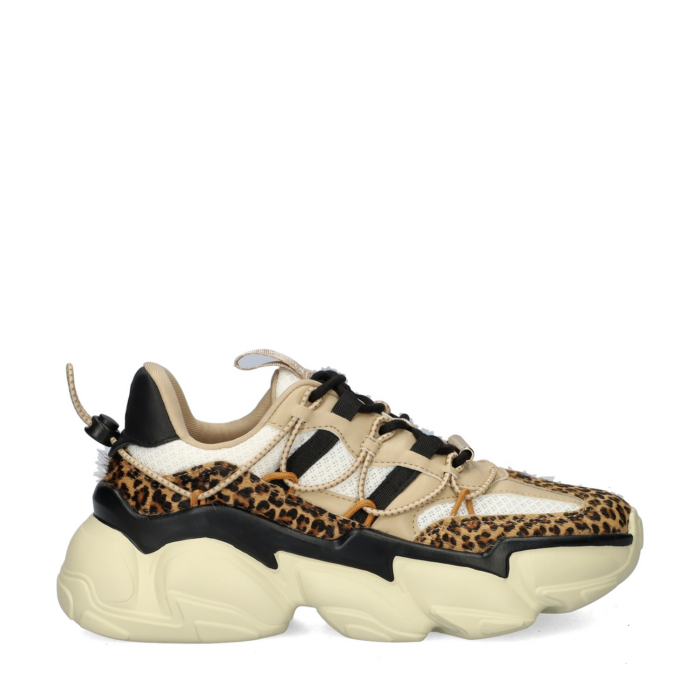 Steve Madden Spectator-L lage sneakers – Bruin