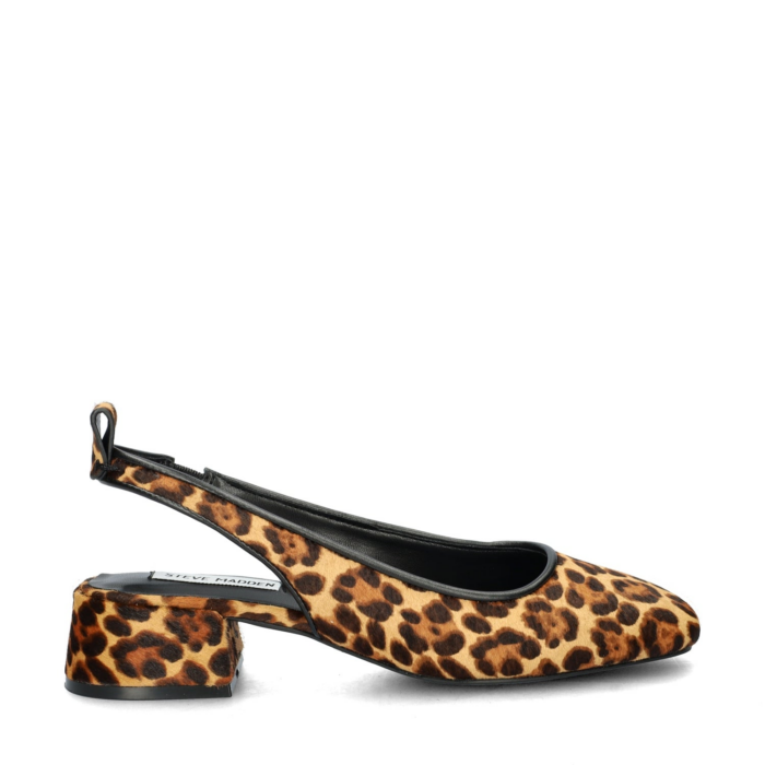 Steve Madden Smitten Leopard ballerinas & instappers – Bruin