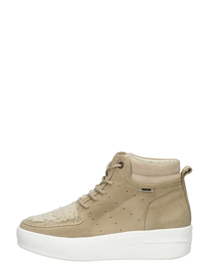 Maruti Vancy – Beige
