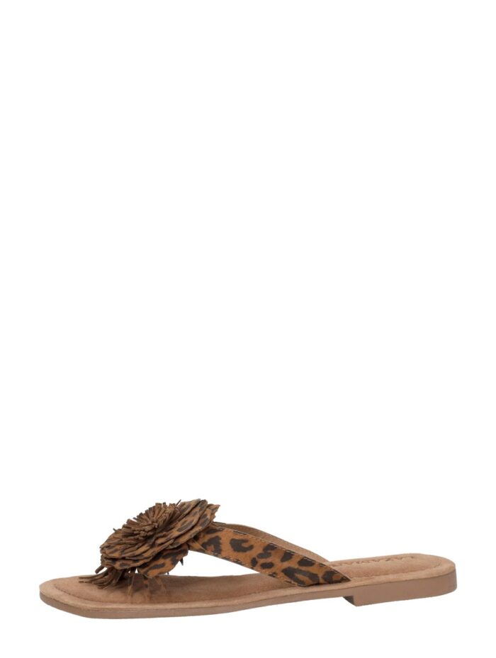 Lazamani Nomi Middel Bruin – Middelbruin