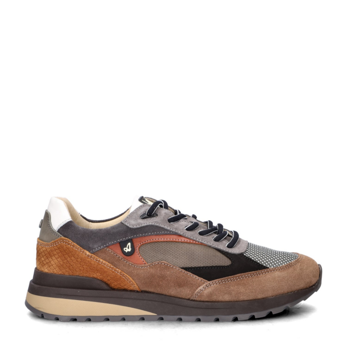 Australian Sneakers Sparrow Bruin