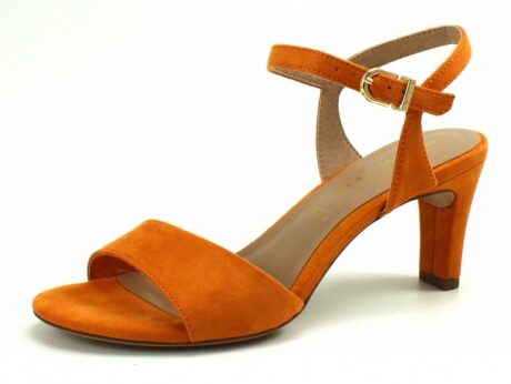 Tamaris Ochre, Geel TAM25 – Fuchsia,Oranje,Blauw,Ochre, Geel,Licht blauw,Rood,Blauw
