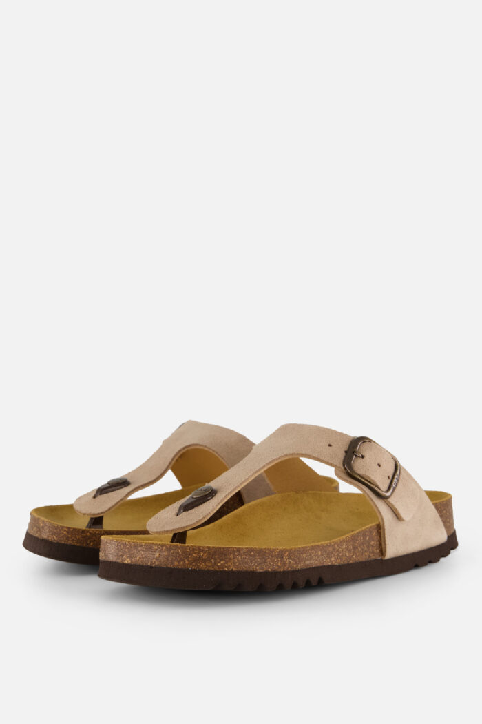 Scholl Anais Slippers beige Suede