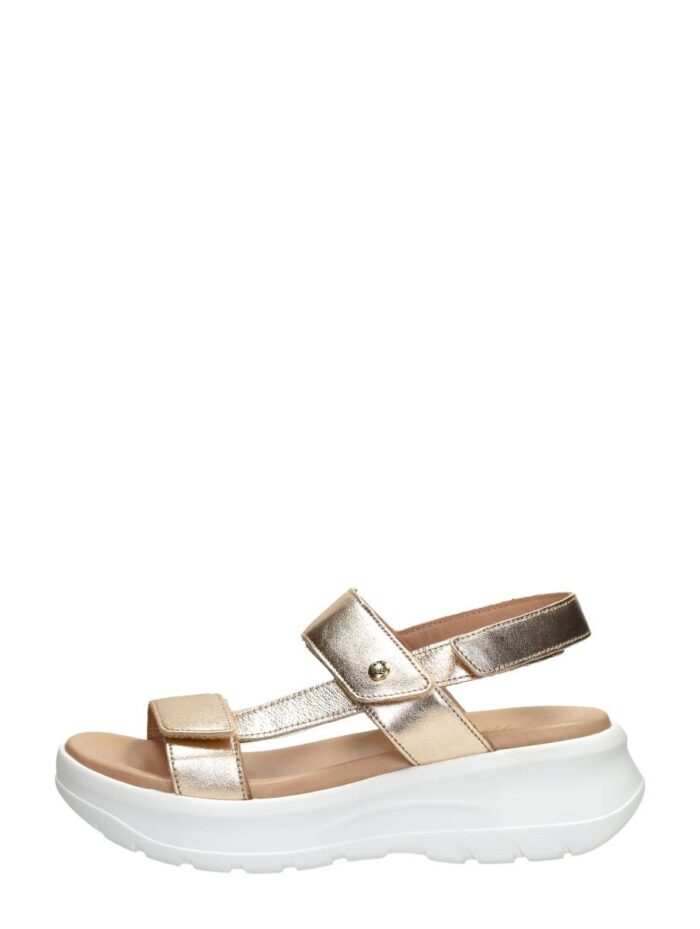 Panama Jack Noor – Goudkleur