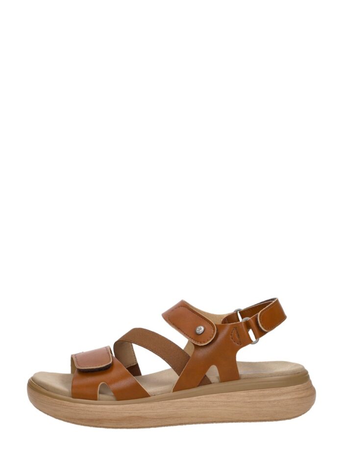 Wolky Amara – Cognac