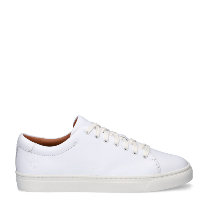 Timberland Dover Park lage sneakers – Wit