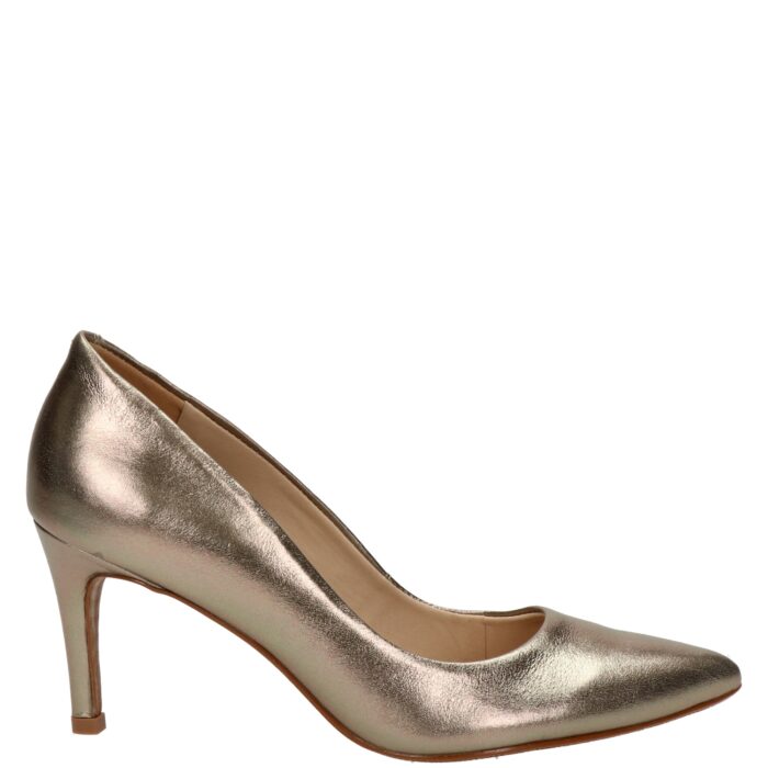 Nelson pumps – Brons